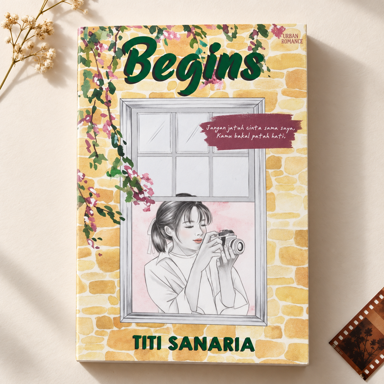Cover of Urban Romance: Begins