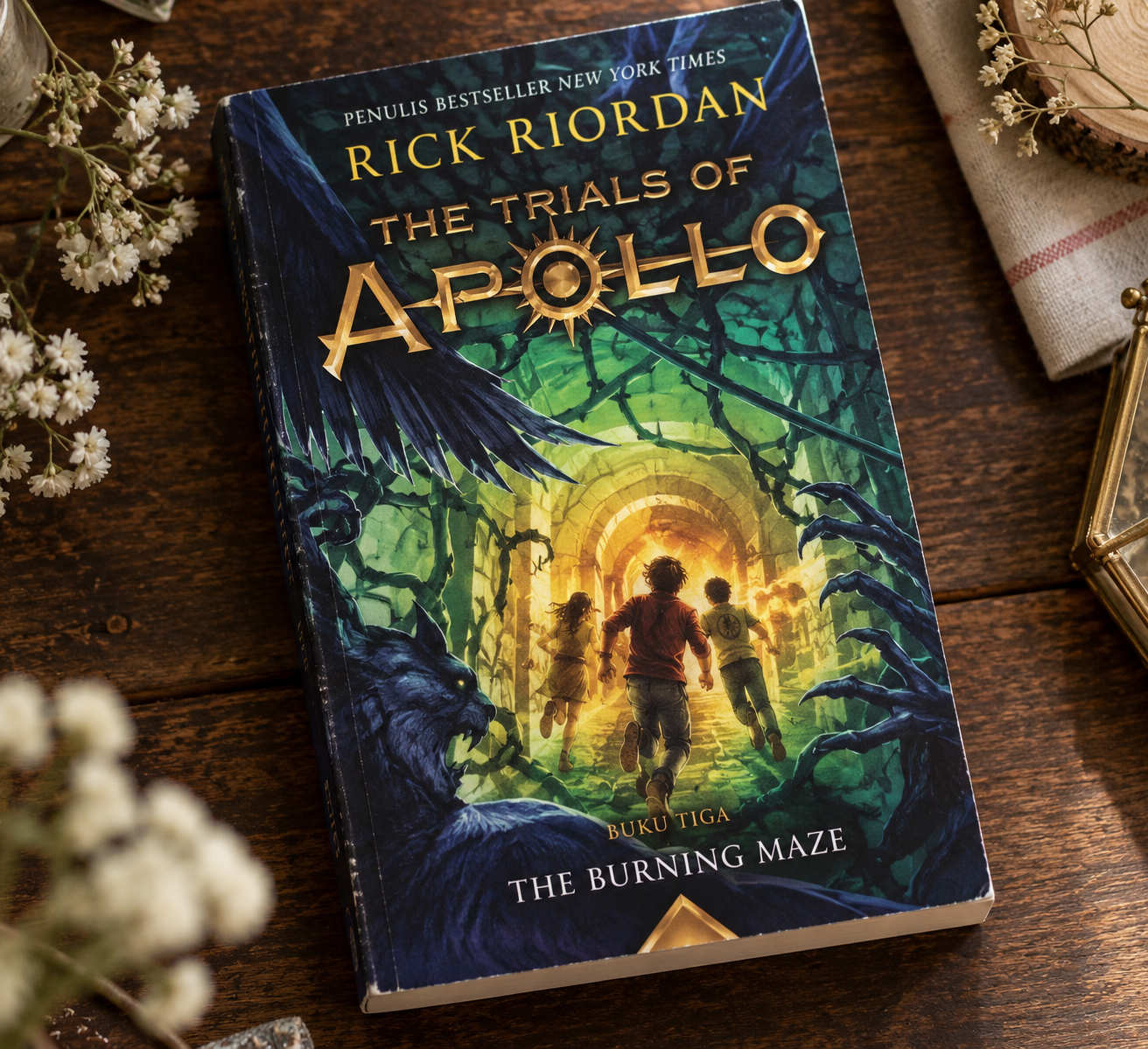 Cover of The Trials of Apollo #3: The Burning Maze