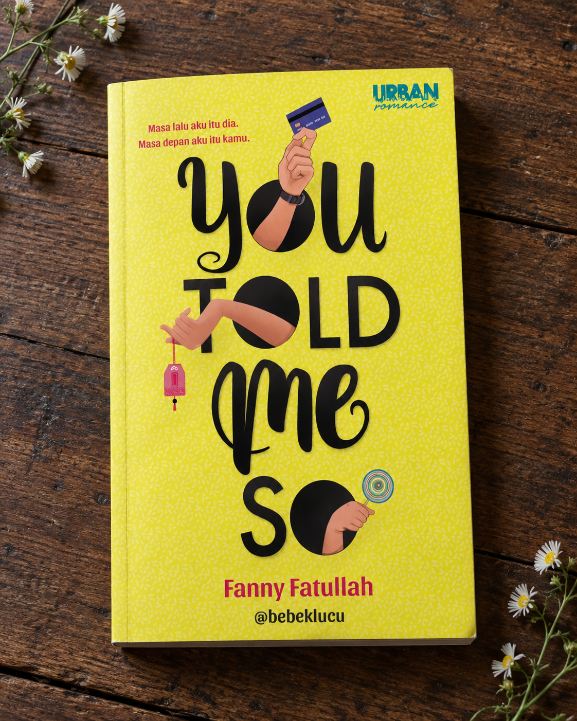 Cover of You Told Me So