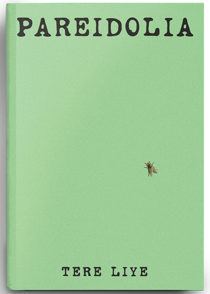 PAREIDOLIA (Novel Terbaru)