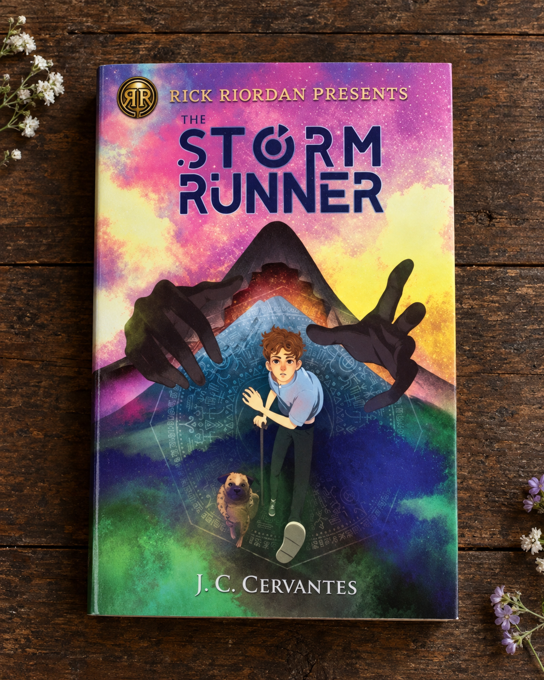Cover of The Storm Runner